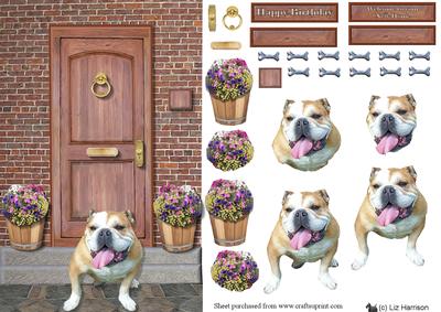 Happy Bulldog on a Door Step