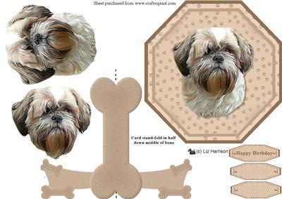 Shih Tzu Plate Shaped Card & Stand