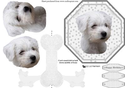 Westie Puppy Plate Shaped Card & Stand