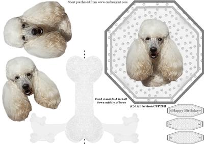 Poodle Plate Shaped Card & Stand