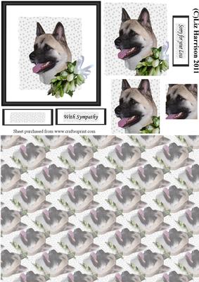 Akita Sympathy Pyramid