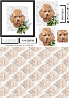 Apricot Poodle Sympathy Pyramid