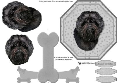 Affenpinscher Plate Shaped Card & Stand