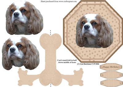Cavalier King Charles Plate Shaped Card & Stand