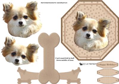 Chihuahua Long Coat Plate Shaped Card & Stand