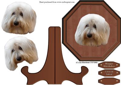 Coton De Tulear Plaque & Stand