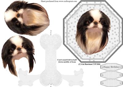 Japanese Chin Plate Shaped Card & Stand