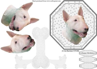 Bull Terrier Plate Shaped Card & Stand