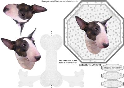 Bull Terrier (miniature ) Plate Shaped Card & Stand