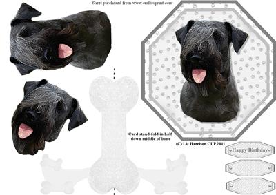 Cesky Terrier Plate Shaped Card & Stand