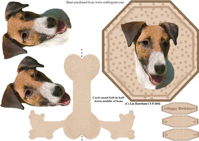 Fox Terrier Smooth Coat Plate Shaped Card & Stand