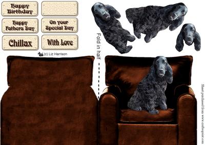 Cocker Spaniel on an Armchair