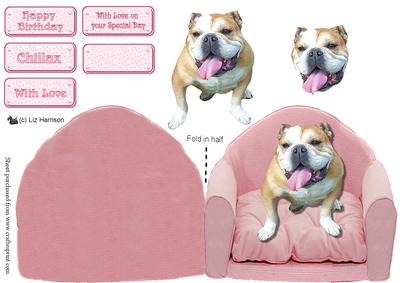 Bulldog Sat on a Pink Chair