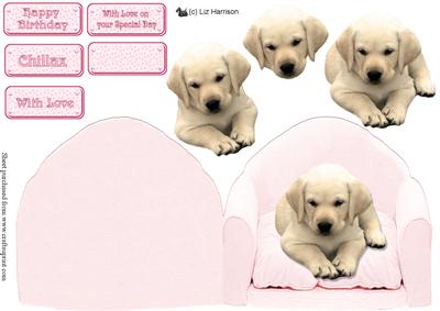 Golden Labrador Puppy on a Pink Chair