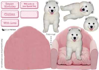 Samoyed Puppy Sat in a Pink Chair