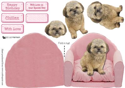 Shih Tzu Sat on a Pink Chair