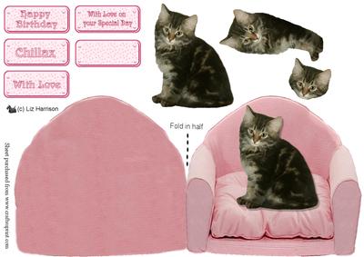 Tabby Kitten on a Pink Chair
