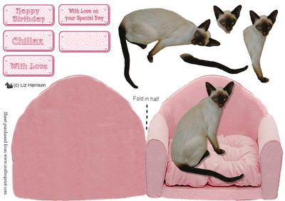 Siamese Cat on a Pink Chair