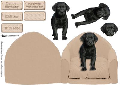 Black Labrador Puppy on a Chair