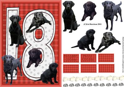 Black Labrador 18th Birthday Card