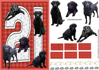 Black Labrador 21st Birthday Card