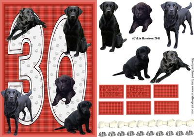 Black Labrador 30th Birthday Card