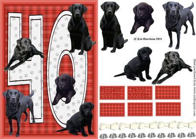 Black Labrador 40th Birthday Card