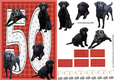 Black Labrador 50th Birthday