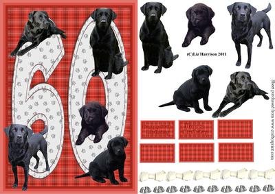 Black Labrador 60th Birthday Card