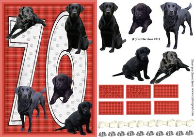 Black Labrador 70th Birthday Card