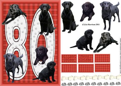 Black Labrador 80th Birthday Card