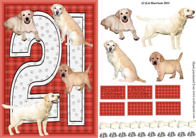 Golden Labrador 21st Birthday Card