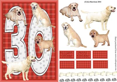Golden Labrador 30th Birthday Card