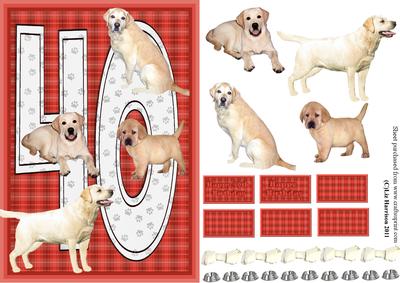 Golden Labrador 40th Birthday Card