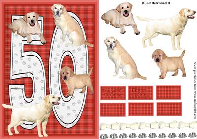 Golden Labrador 50th Birthday Card