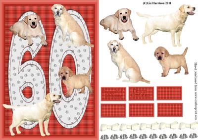 Golden Labrador 60th Birthday Card