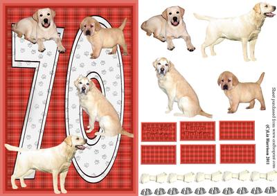 Golden Labrador 70th Birthday Card