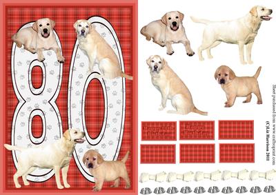 Golden Labrador 80th Birthday Card