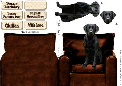 Black Labrador Sat on Chair