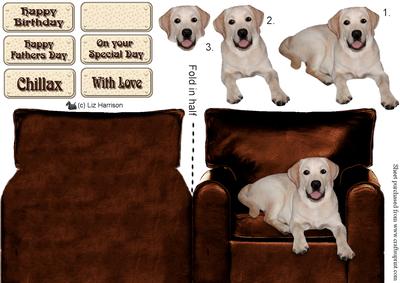 Golden Labrador Sat in a Chair