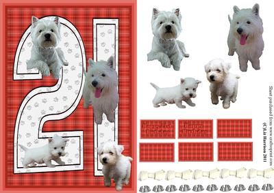 Westie 21st Birthday Card