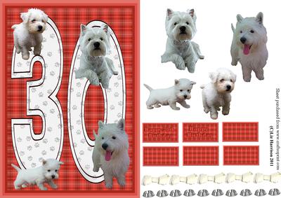 Westie 30th Birthday Card
