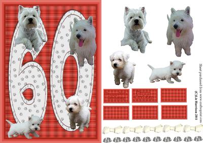 Westie 60th Birthday Card