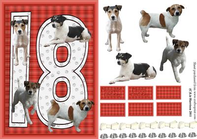 Jack Russell Terrier 18th Birthday Card