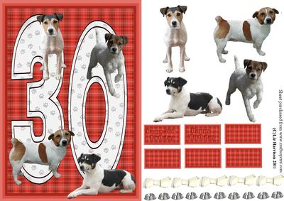 Jack Russell Terrier 30th Birthday Card
