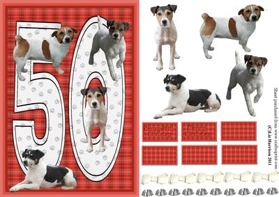 Jack Russell Terrier 50th Birthday Card