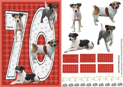 Jack Russell Terrier 70th Birthday Card