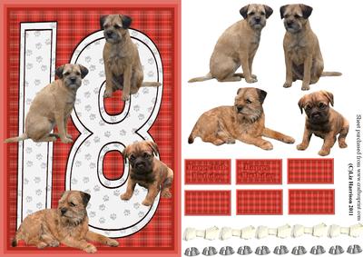 Border Terrier 18th Birthday Card