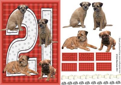 Border Terrier 21st Birthday Card
