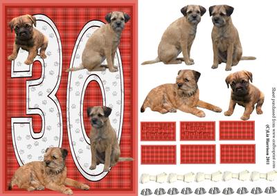 Border Terrier 30th Birthday Card